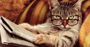 Borsa Nasıl Bir Şeydir? Tutku mu, Yoksa Hırs mı? Borsa Nasıl Bir Şeydir? Tutku mu, Yoksa Hırs mı?