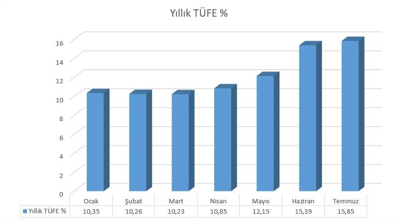 Türkiye 2018 Ocak - Temmuz Ayları TÜFE Değişimi