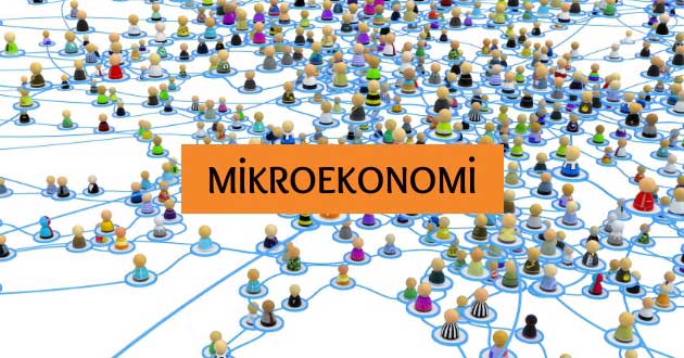 Mikroekonomi Nedir? İncelediği Konular ve Hakkında Kısaca Bilgiler