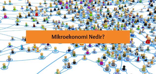 Mikroekonomi Nedir?