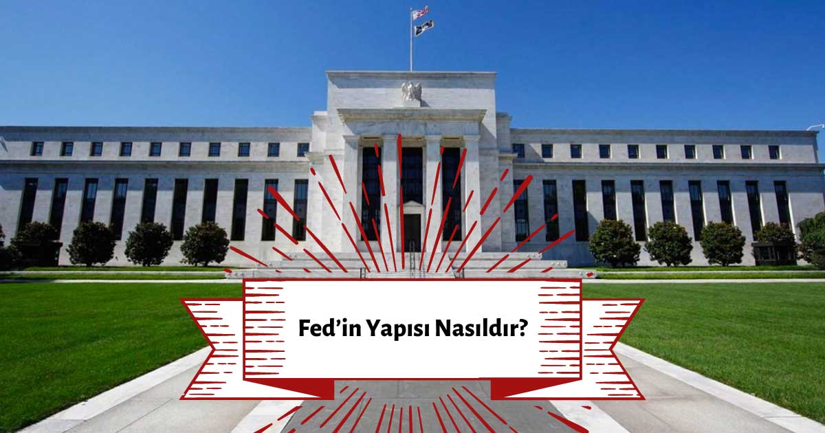 Fed’in Yapısı Nasıldır?