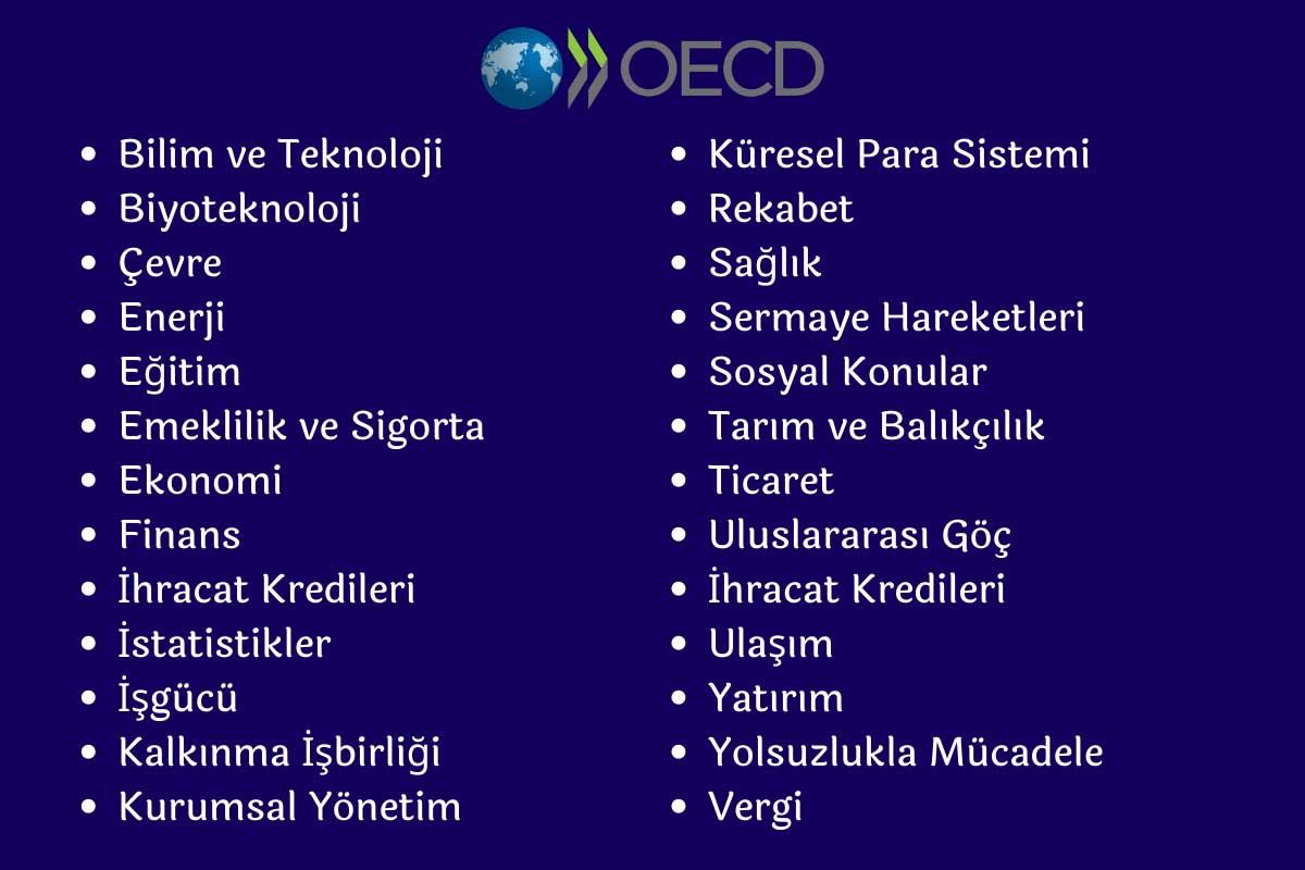 OECD Faaliyet Alanları