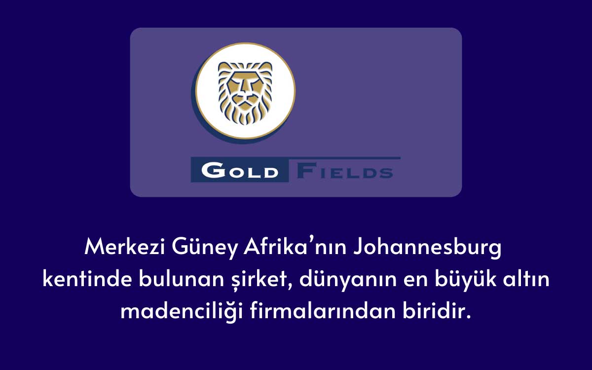 Goldfields Ltd.