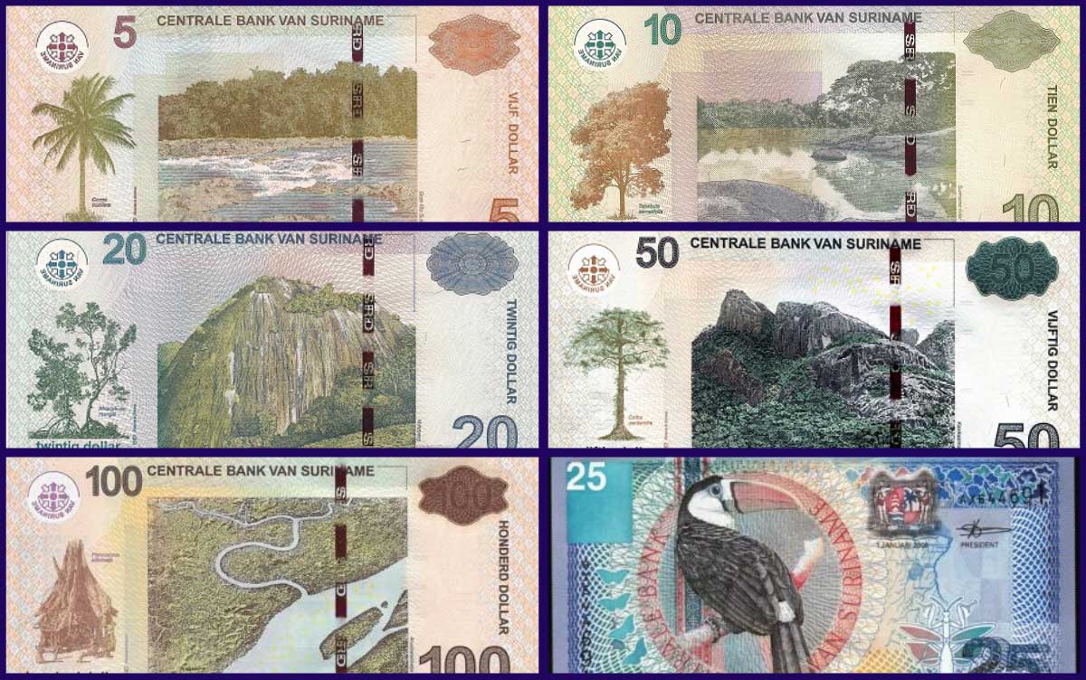 Surinam Doları Banknotlar