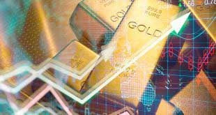Forex mi ikili opsiyon mu